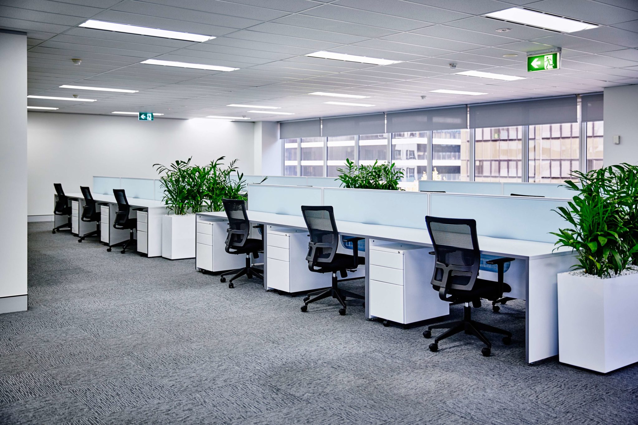 Office areas at risk of pest infestation