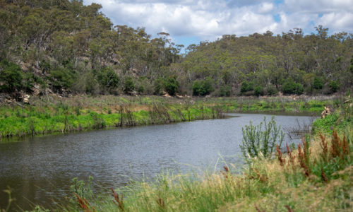 Jerrabomberra Pest Control