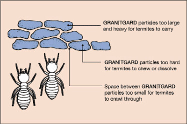 Termites clean up description