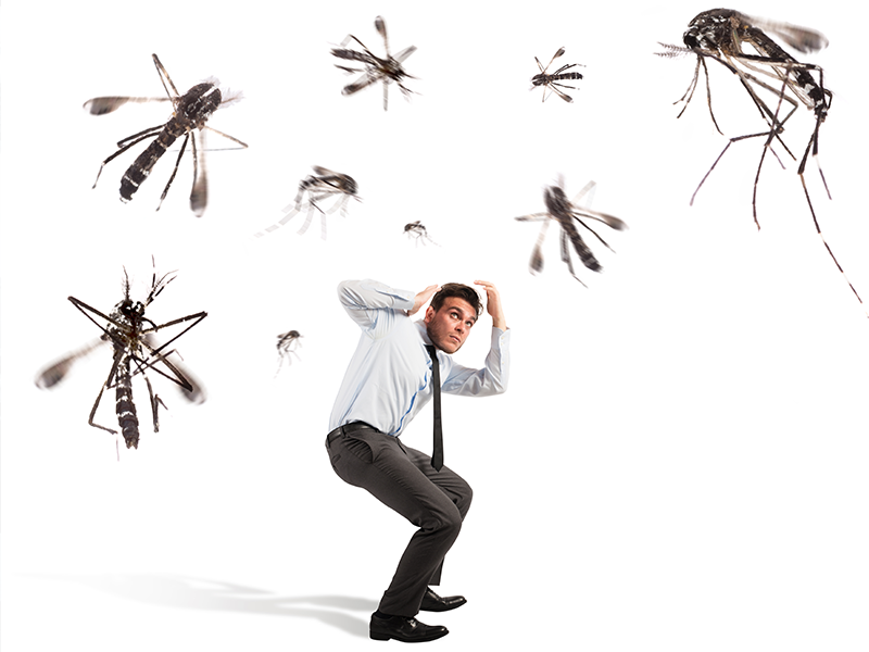 Avoiding Mosquitoes